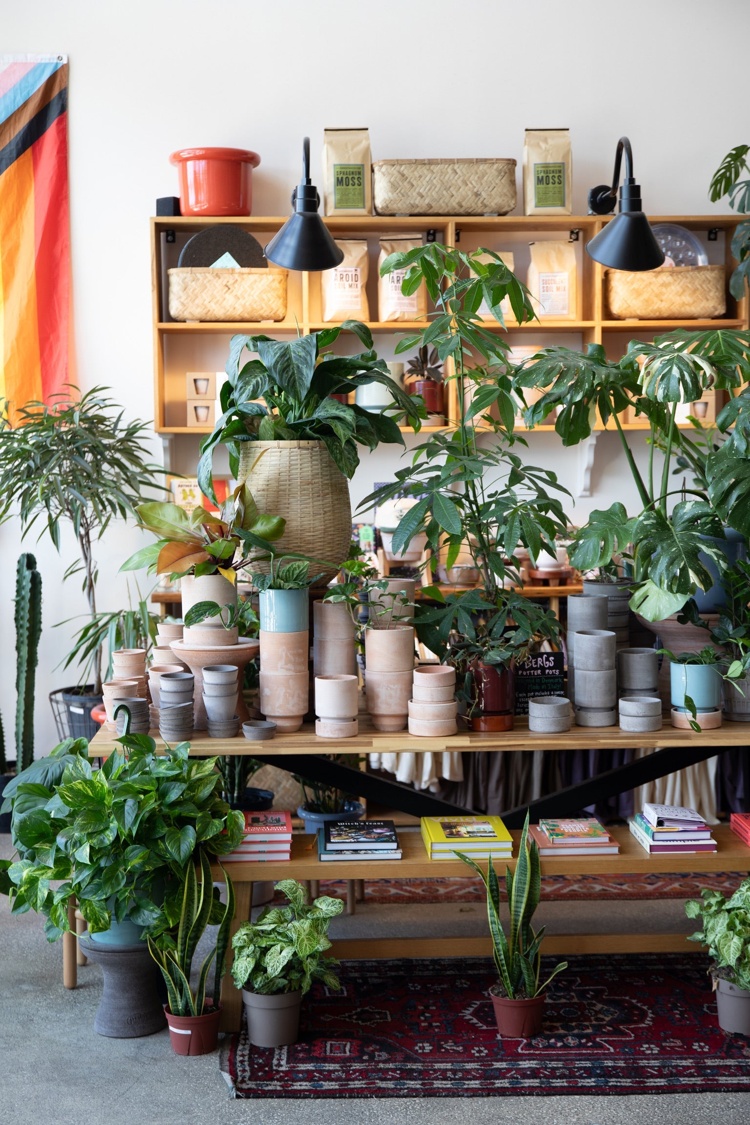 Pots & Pottery