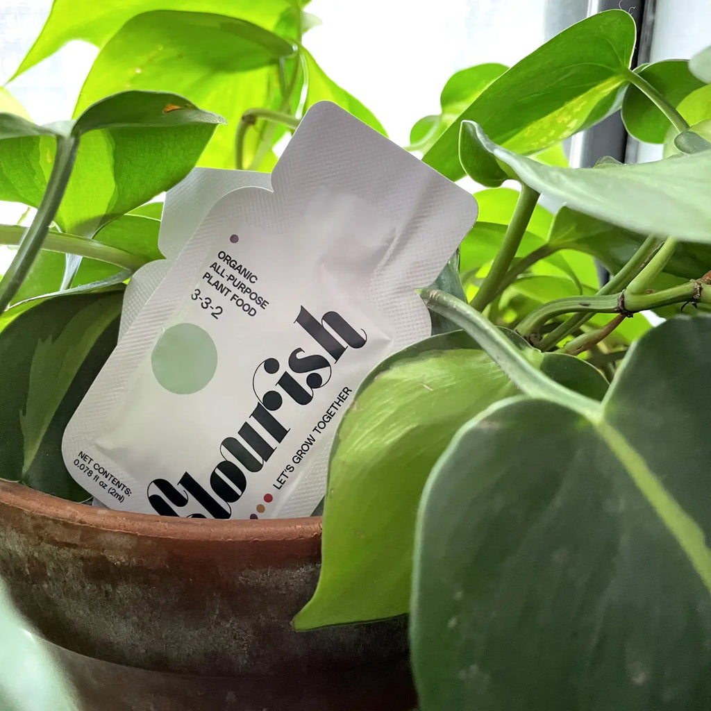 Flourish Mini Packet