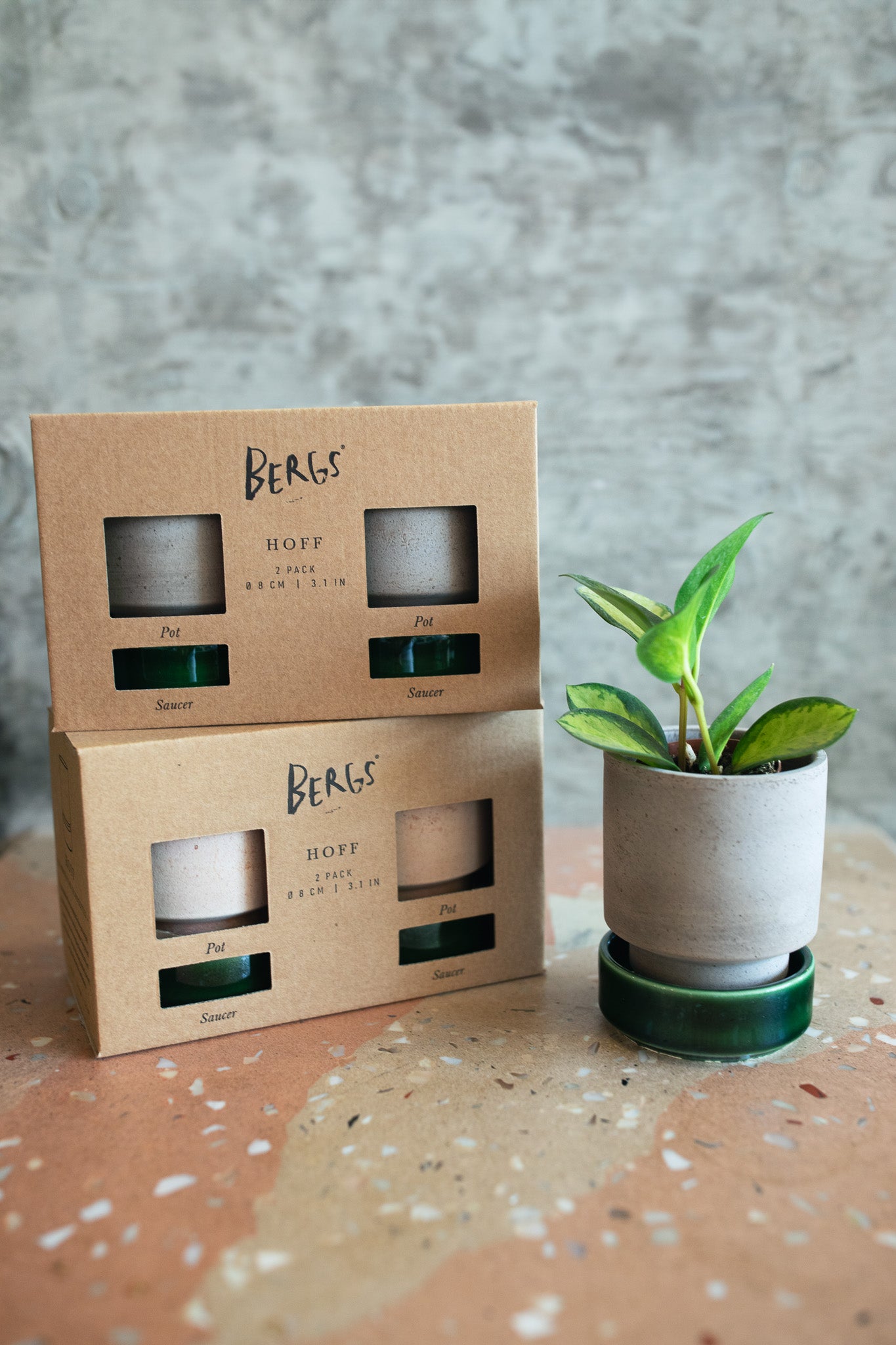 Bergs Hoff Raw Grey & Glazed Emerald Green 8cm Pots, Set of 2
