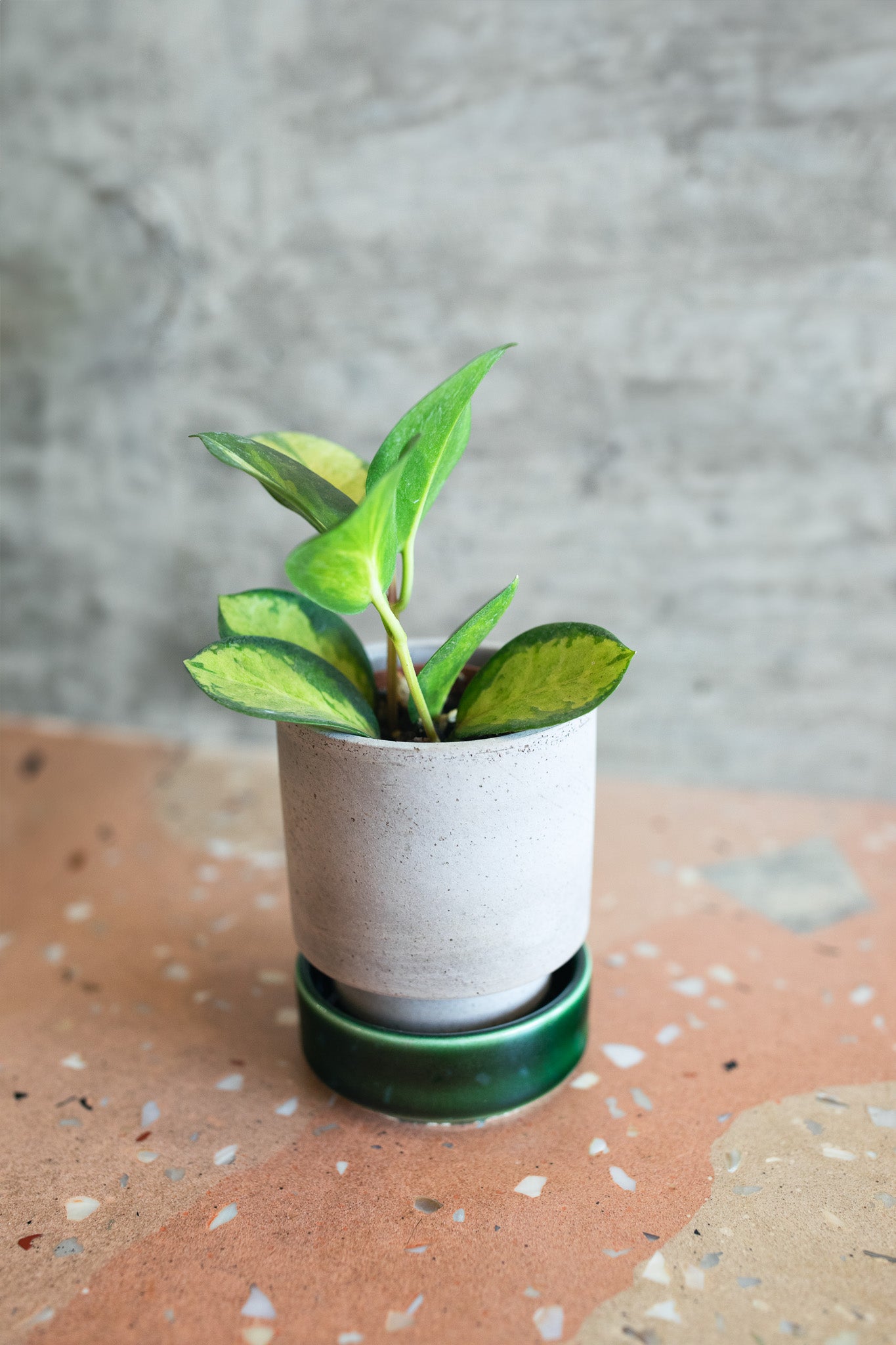 Bergs Hoff Raw Grey & Glazed Emerald Green 8cm Pots, Set of 2