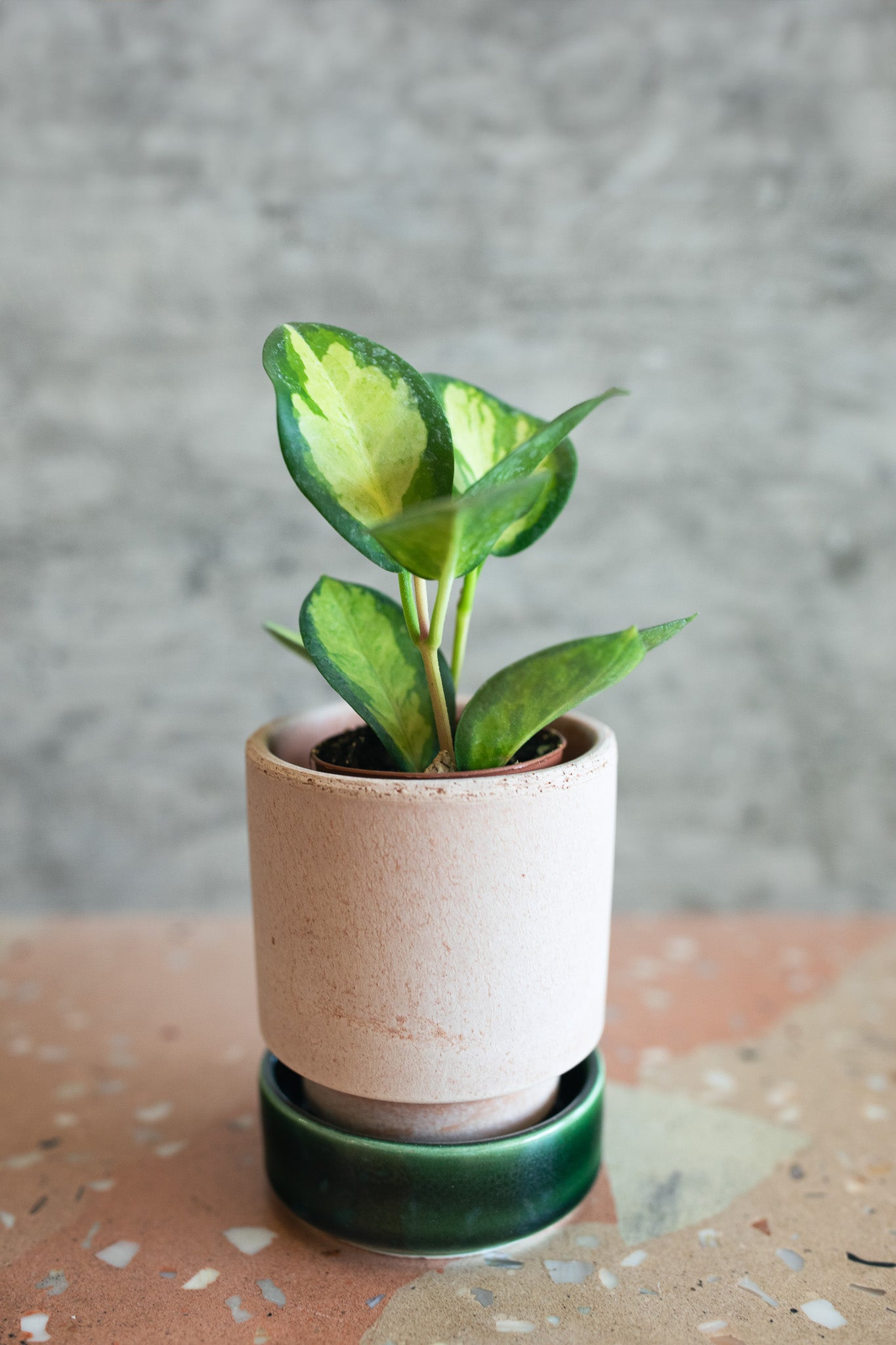 Bergs Hoff Raw Rosa & Glazed Emerald Green 8cm Pots, Set of 2