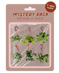 A retail blister pack containing six hanging houseplant cutouts labeled 'Mystery Pack Pothos 2 Pack' with a badge reading '6" House Plants!'. The package has a dusty pink backing card and clear plastic window showing the plant cutouts inside.