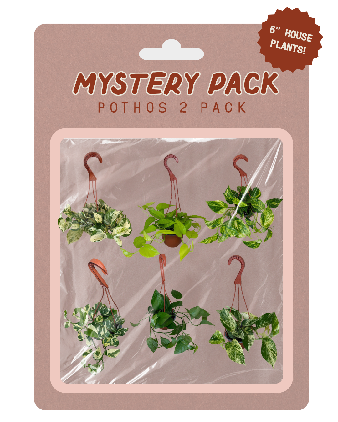 A retail blister pack containing six hanging houseplant cutouts labeled 'Mystery Pack Pothos 2 Pack' with a badge reading '6" House Plants!'. The package has a dusty pink backing card and clear plastic window showing the plant cutouts inside.
