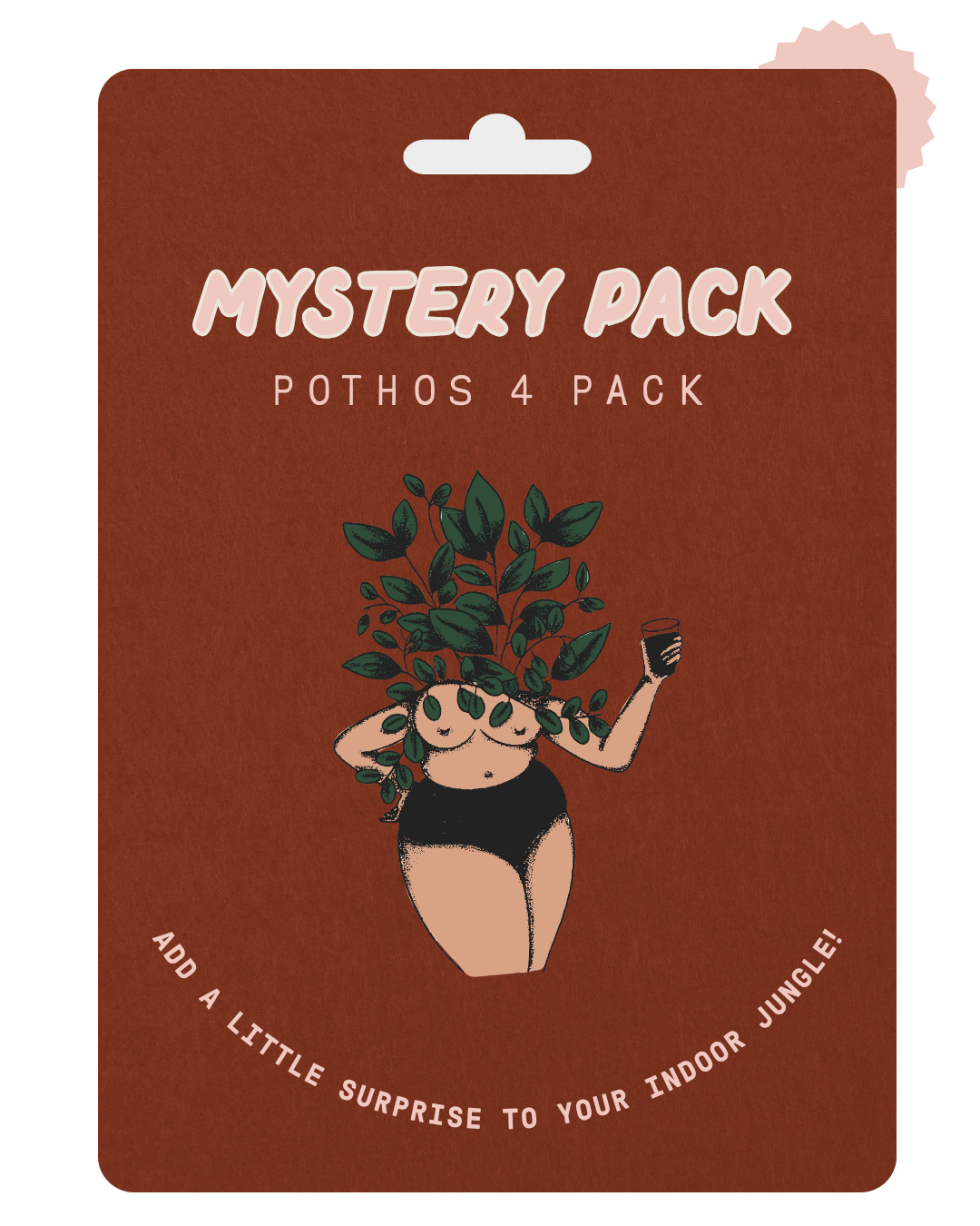 A product card for a 'Mystery Pack Pothos 4 Pack' featuring a brown background, white text, and an illustration of a person with green potted plants for hair wearing black underwear.