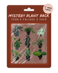Mystery Plant Pack containing 6-inch houseplants (ferns and foliage) in black pots, packaged on a brown backing card with a pink sticker label.