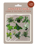 Mystery pack of 4 house plants (ferns and foliage) on a beige backing card with a clear plastic window, featuring a brown '4" House Plants!' badge.