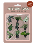 A retail blister pack containing nine miniature 6-inch houseplants in black pots, labeled 'MYSTERY PACK FOLIAGE 2 PACK' on a dusty pink backing card with a brown burst reading '6" HOUSE PLANTS!'.
