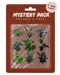 Mystery Pack Foliage 4 Pack containing 6 different houseplant illustrations on a brown backing card with a pink sticker label.