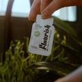 Flourish Mini Packet