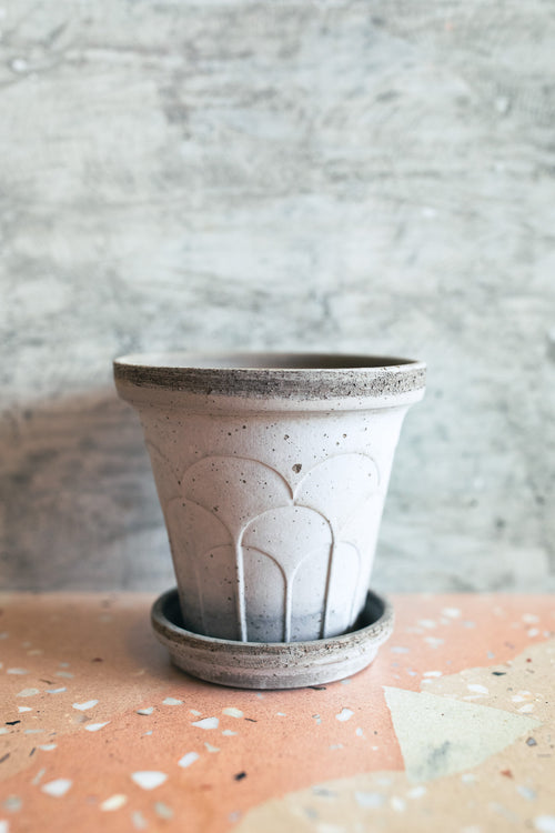 A small handmade concrete planter pot with a matching saucer, featuring a textured speckled finish and embossed arch details, set on a terrazzo surface against a textured gray wall.