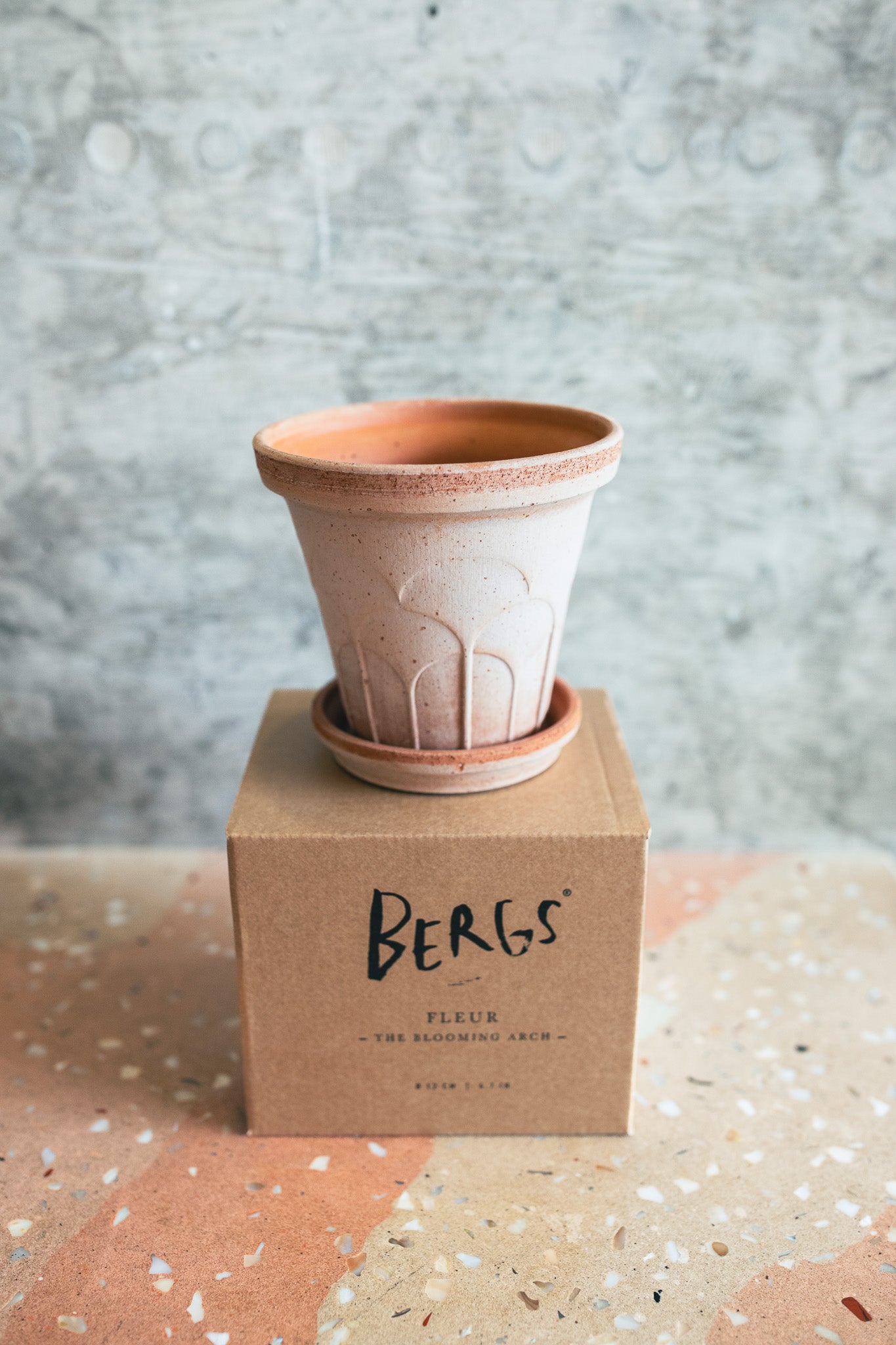 A terracotta-colored clay flower pot with a matching saucer, displayed on top of a brown cardboard box branded BERGS. The pot and saucer have a light pinkish-beige glazed finish with a textured, embossed design.