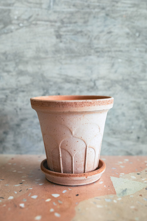 A small terracotta-colored ceramic planter pot with a matching saucer, featuring a textured embossed design on the front, set against a gray textured background.