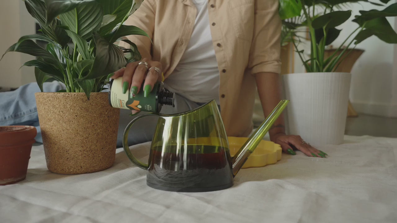 We The Wild - Grow Concentrate